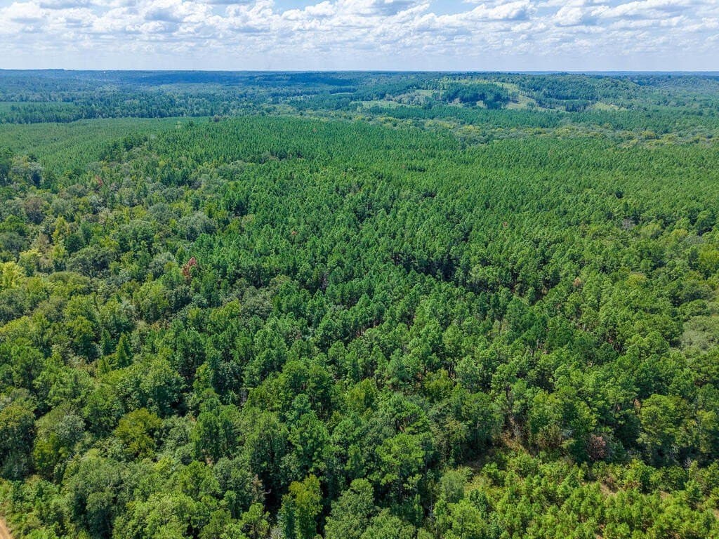 324.78 acres in Texas County - photo 26