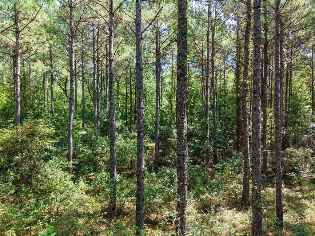 324.78 acres in Texas County - photo 17