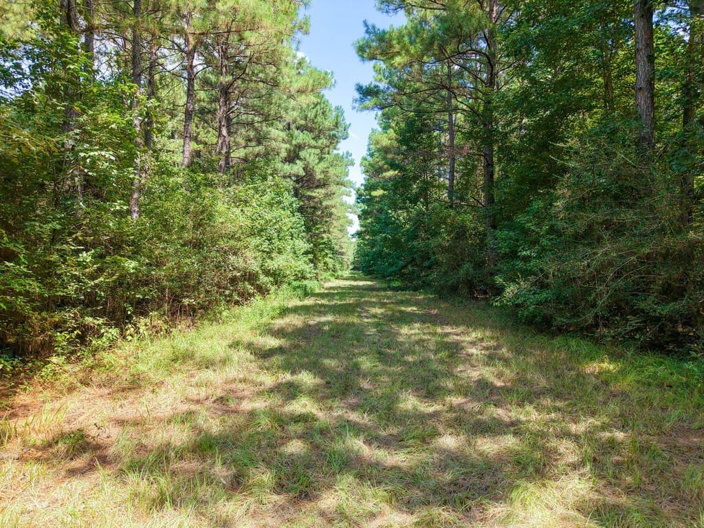 324.78 acres in Texas County - photo 15