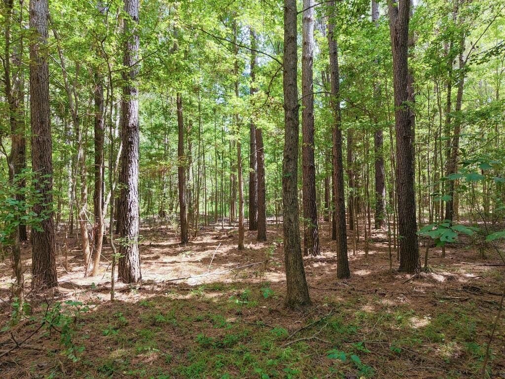 324.78 acres in Texas County - photo 34