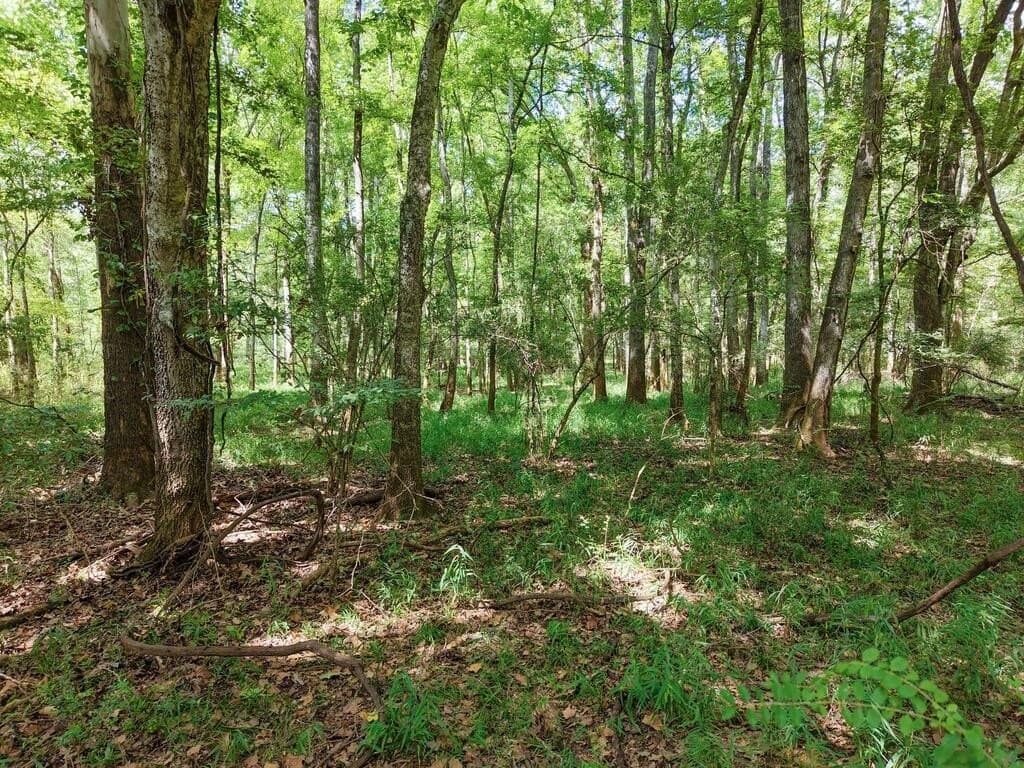 324.78 acres in Texas County - photo 38