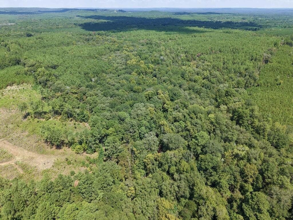 324.78 acres in Texas County - photo 8