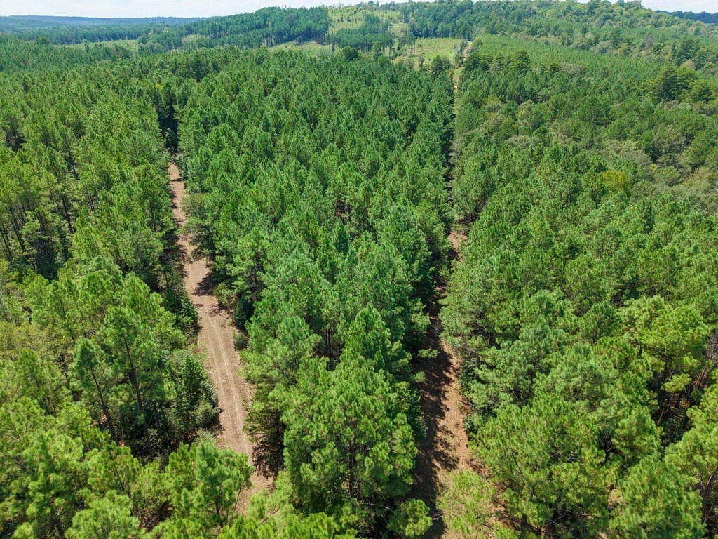 324.78 acres in Texas County - photo 14