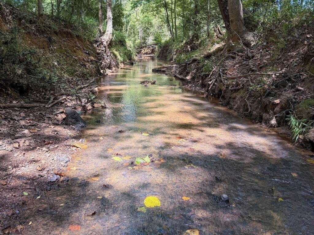 324.78 acres in Texas County - photo 30