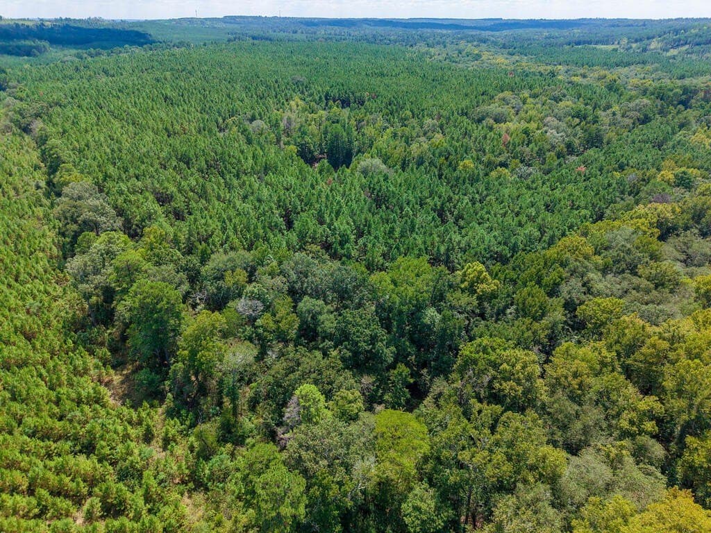 324.78 acres in Texas County - photo 19