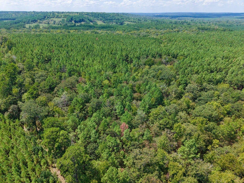 324.78 acres in Texas County - photo 25
