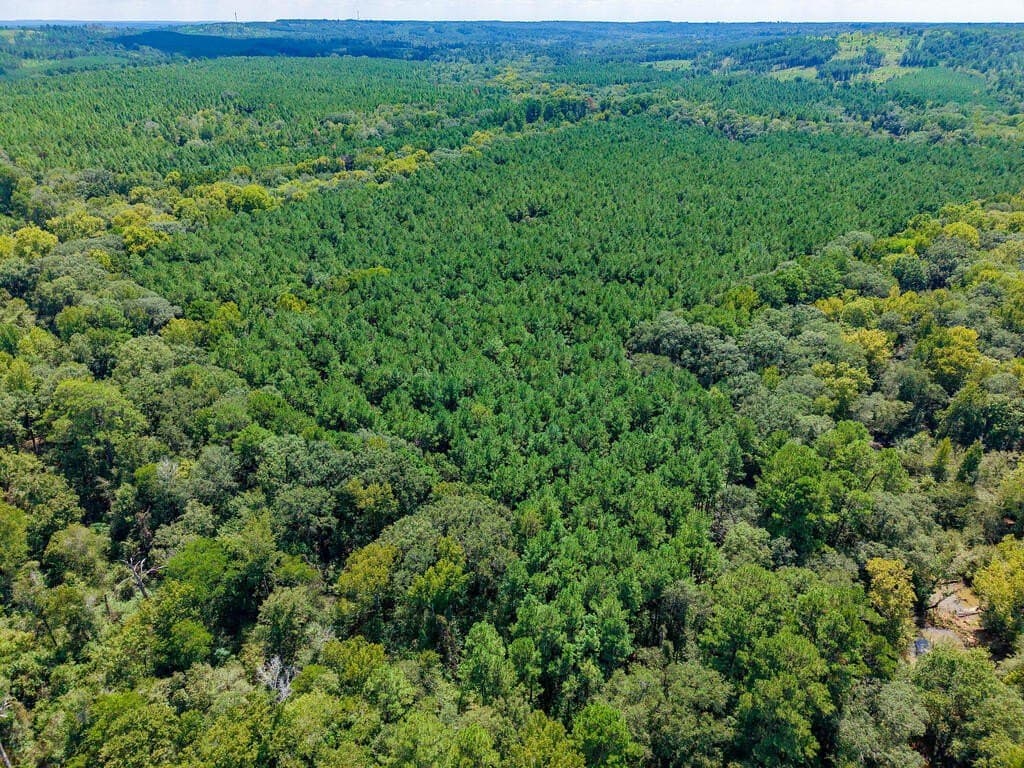 324.78 acres in Texas County - photo 28