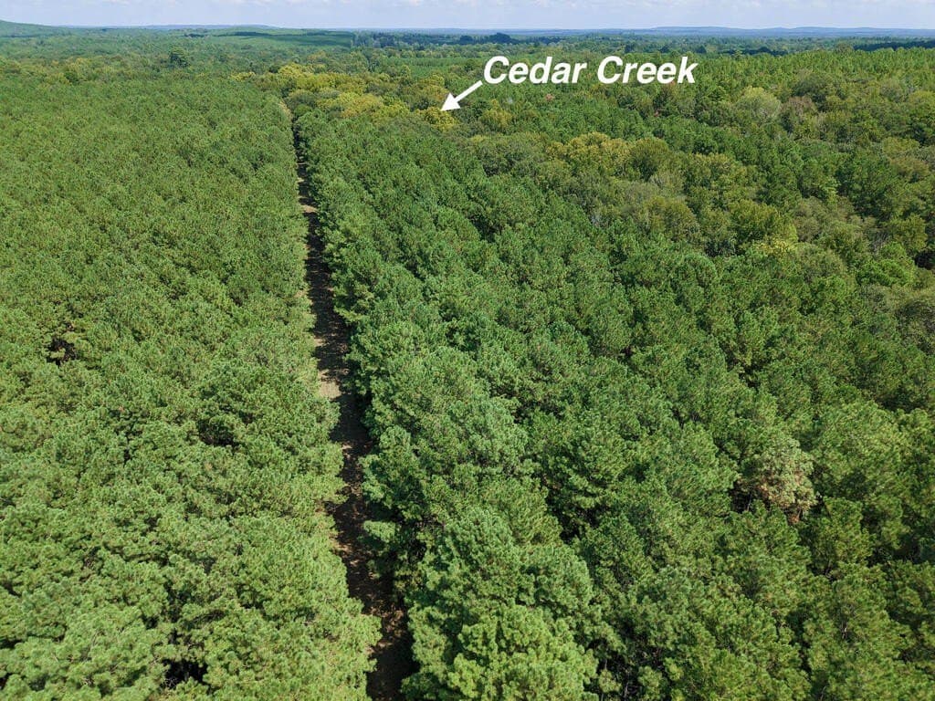 324.78 acres in Texas County - photo 11