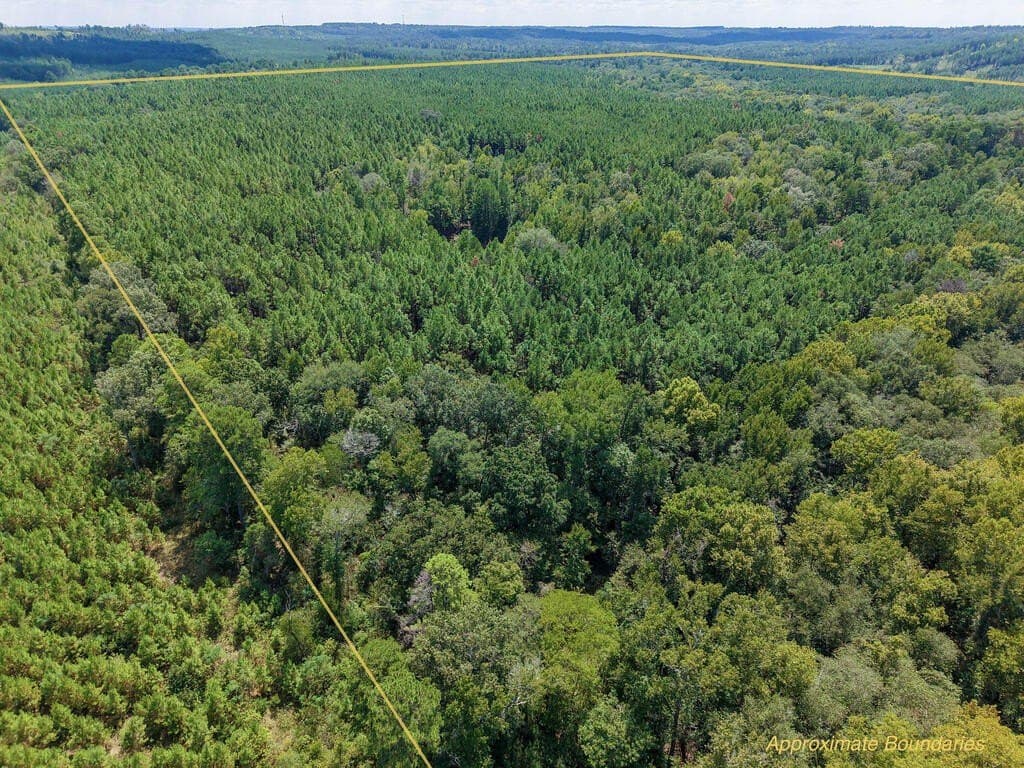 324.78 acres in Texas County - photo 20