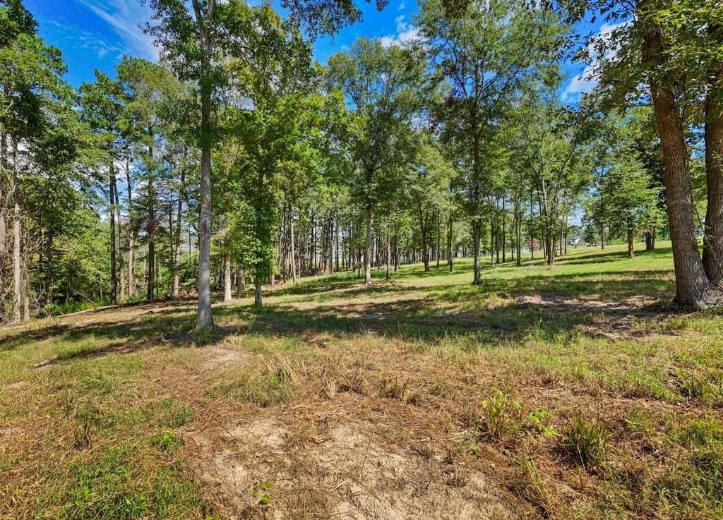 1.6 acres in Texas County gallery image 4