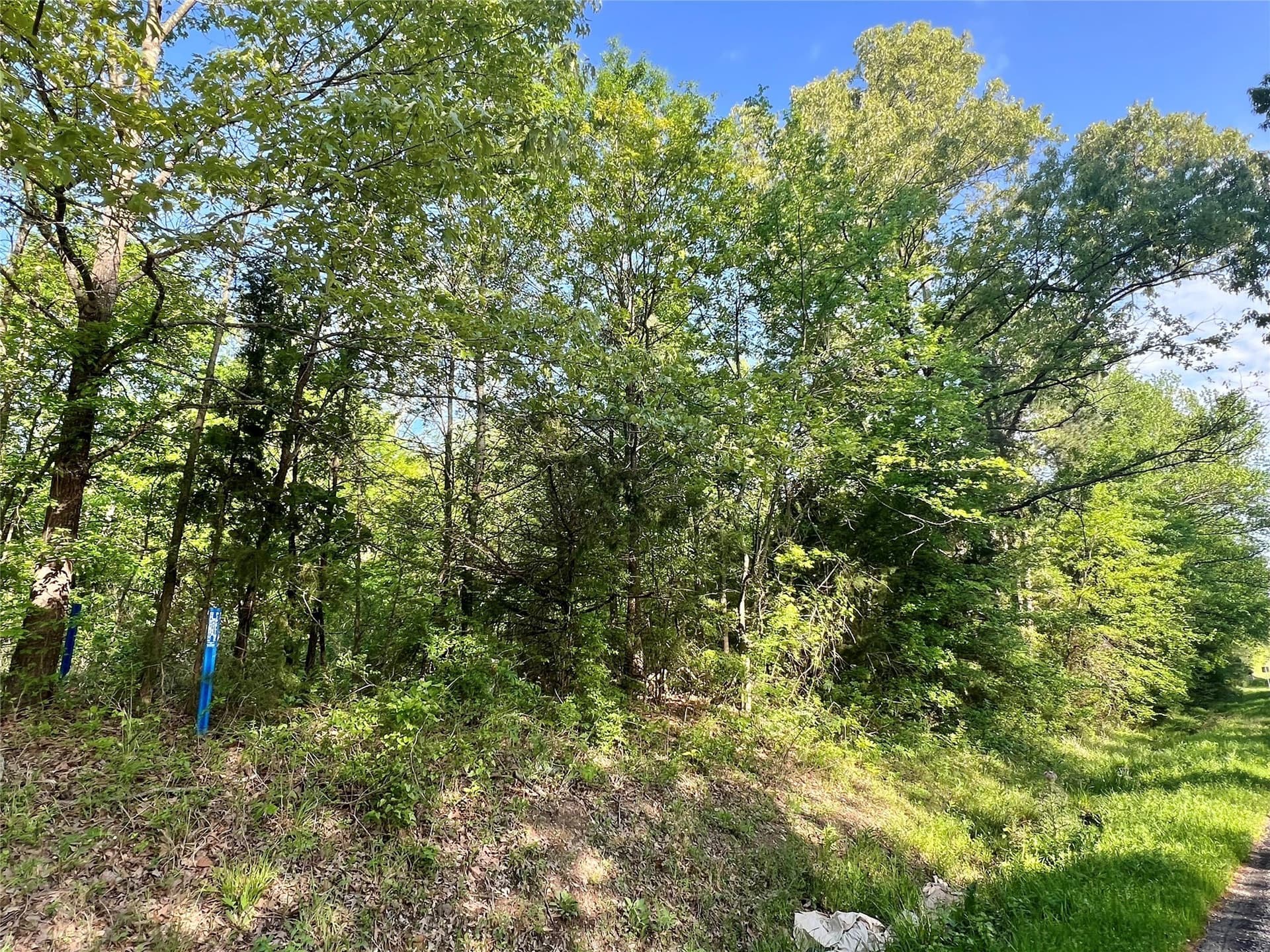 1.5 acres in Titus County - photo 2