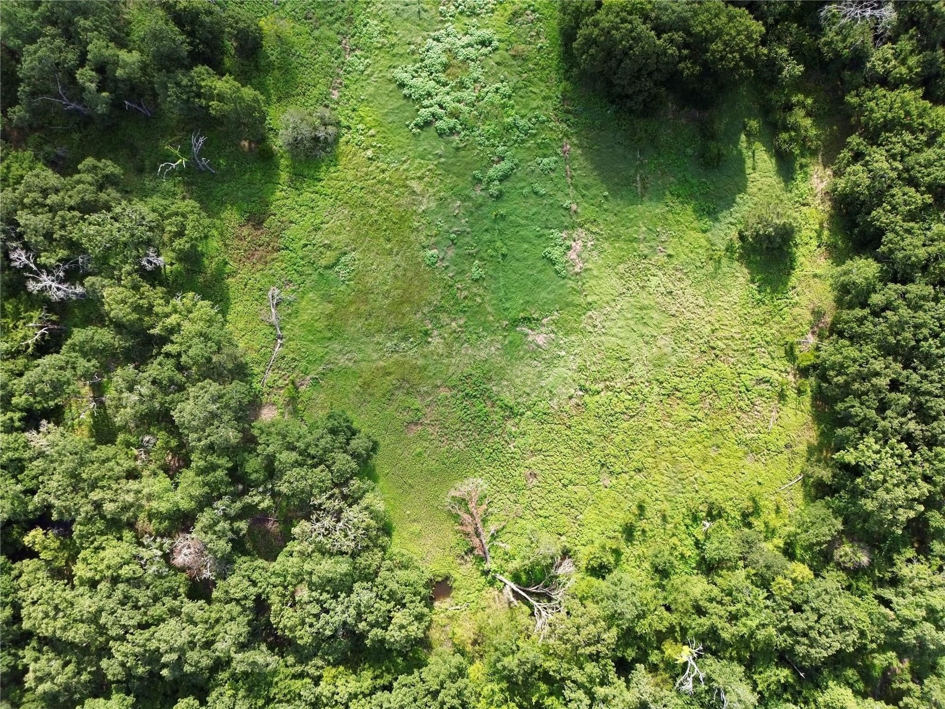 5 acres in Kaufman County gallery image 2