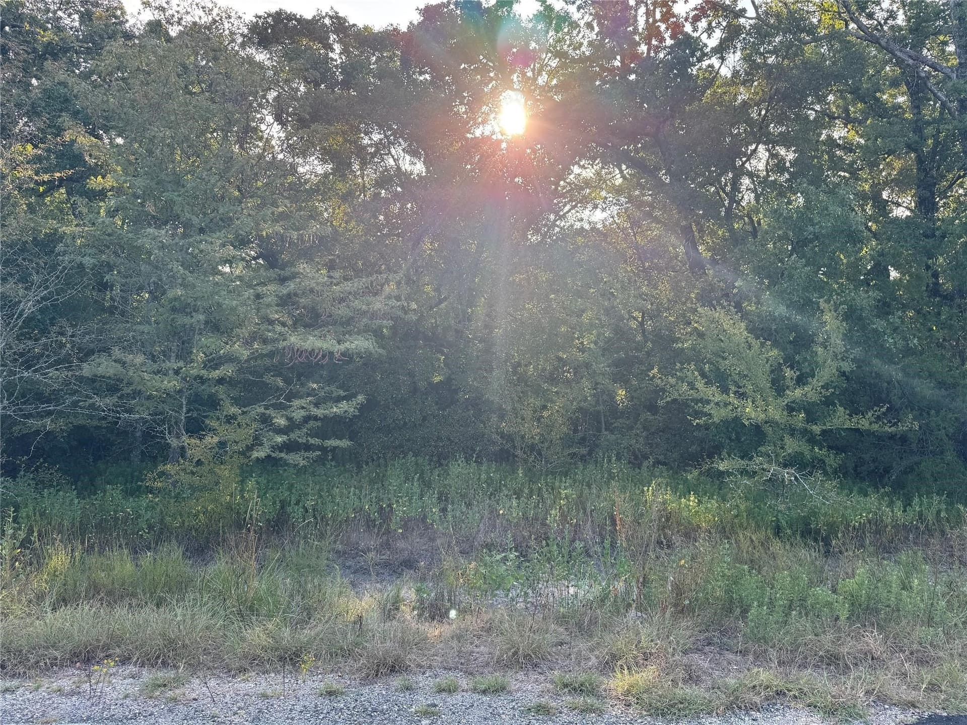5 acres in Kaufman County gallery image 3