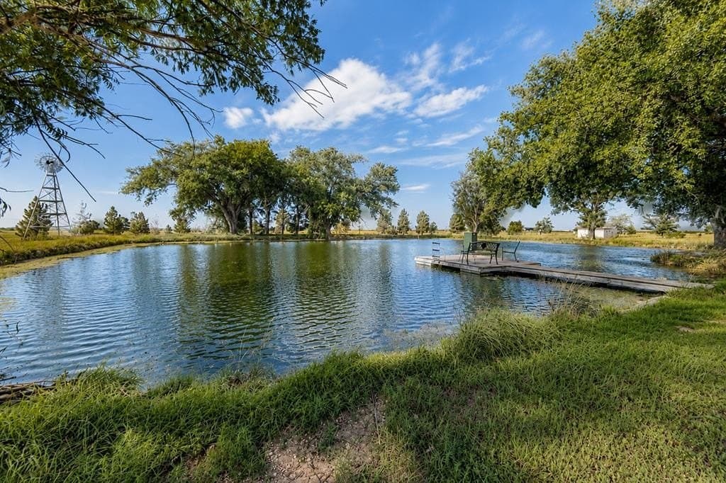 54.47 acres in Midland County gallery image 4