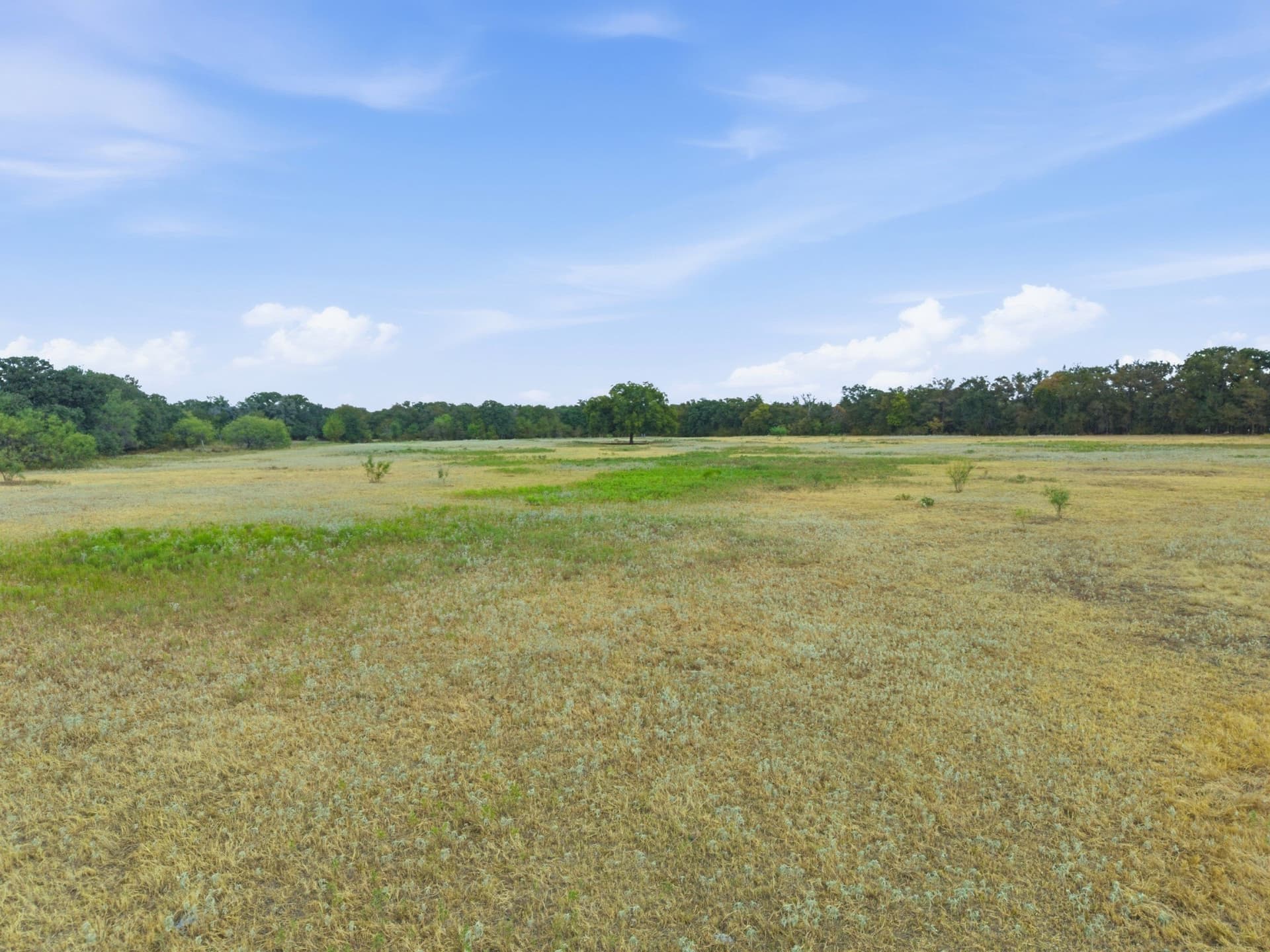 16.08 acres in Palo Pinto County - photo 10
