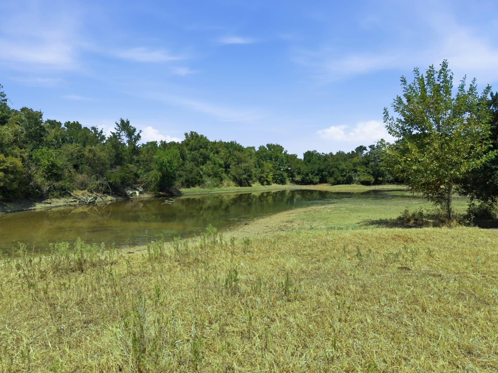 16.08 acres in Palo Pinto County - photo 6