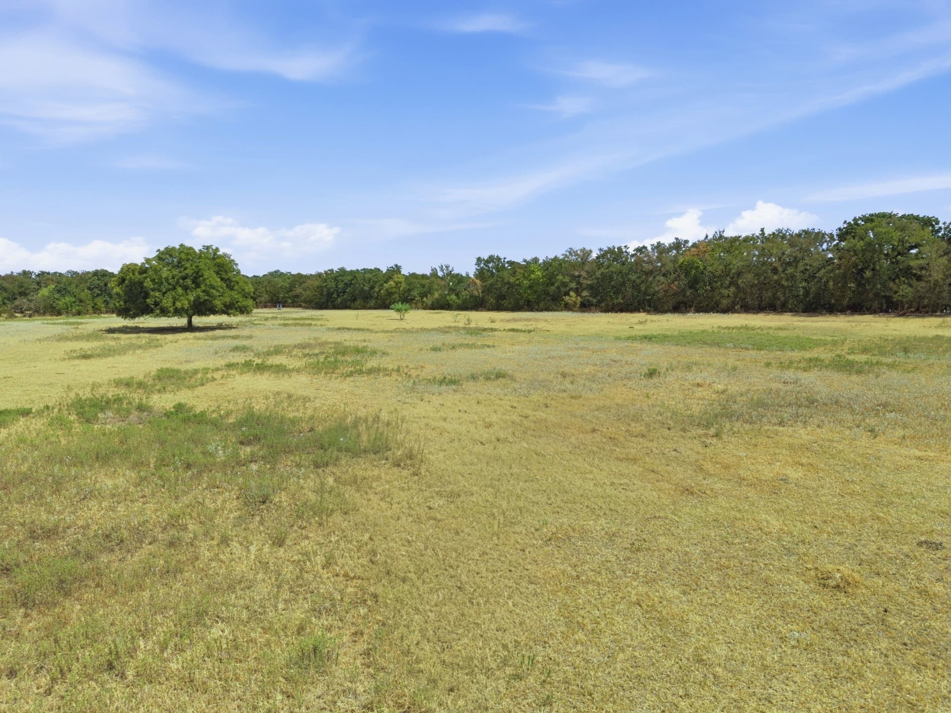 16.08 acres in Palo Pinto County - photo 5