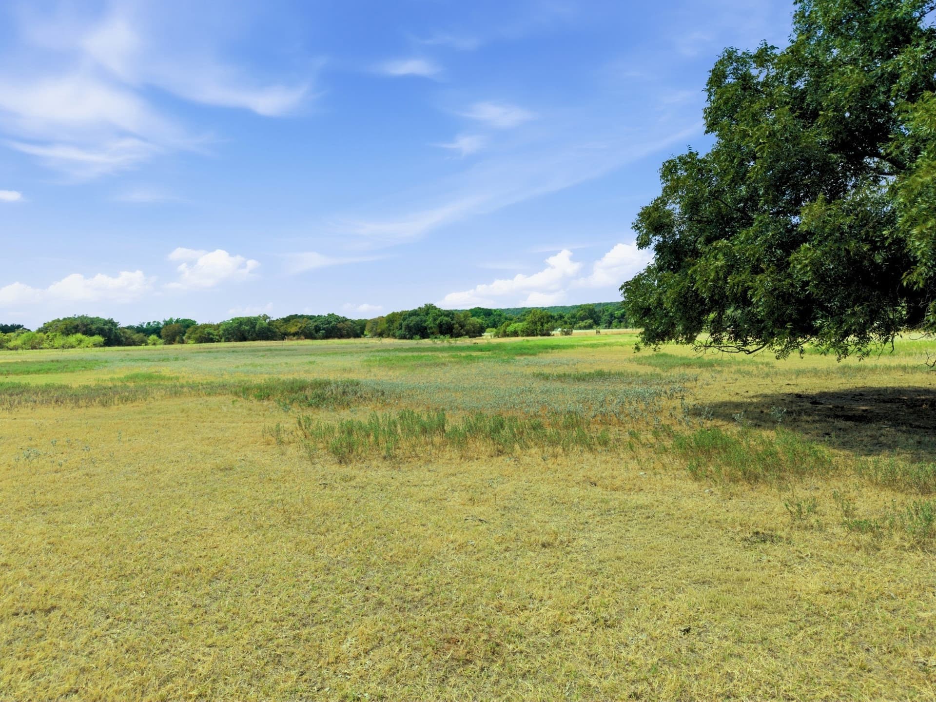 16.08 acres in Palo Pinto County - photo 4