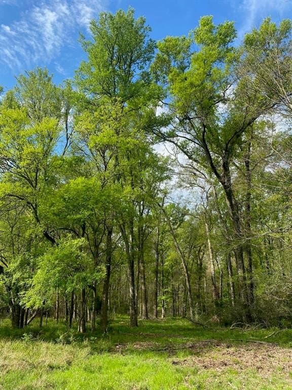 58.15 acres in Freestone County gallery image 2