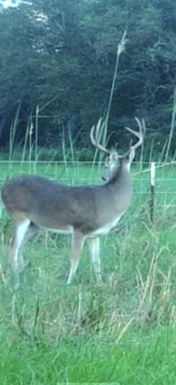 58.15 acres in Freestone County