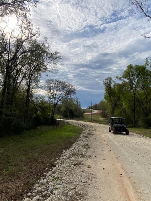 58.15 acres in Freestone County gallery image 4