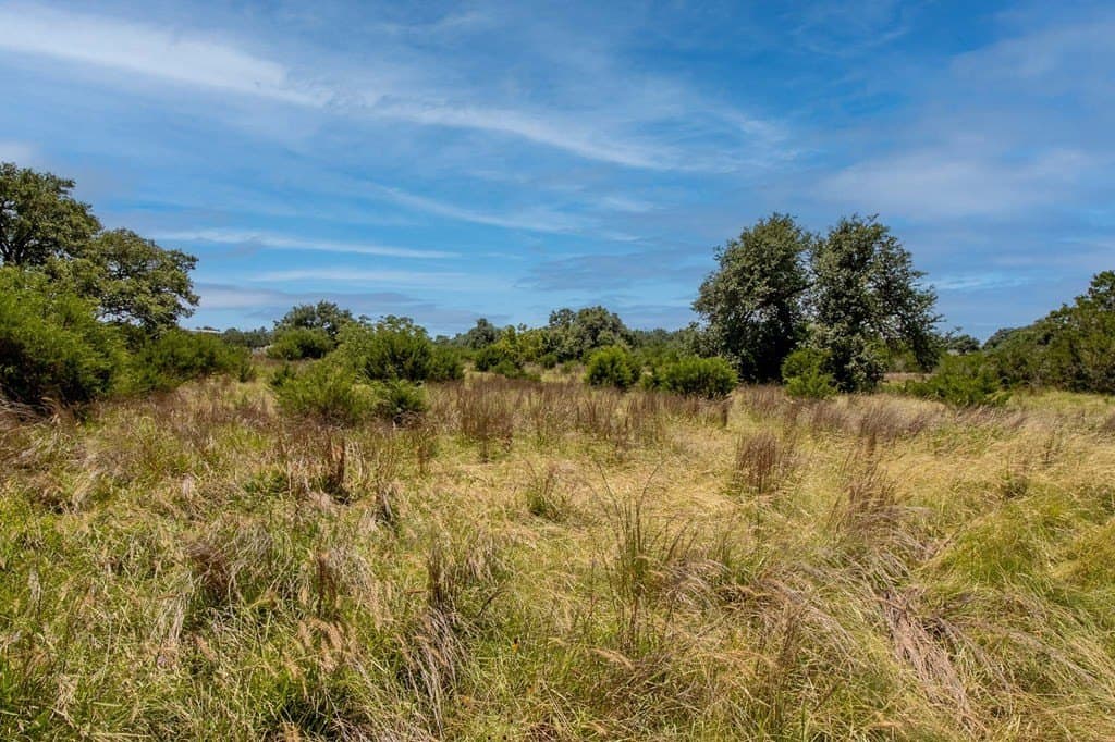 24.81 acres in Kerr County gallery image 4