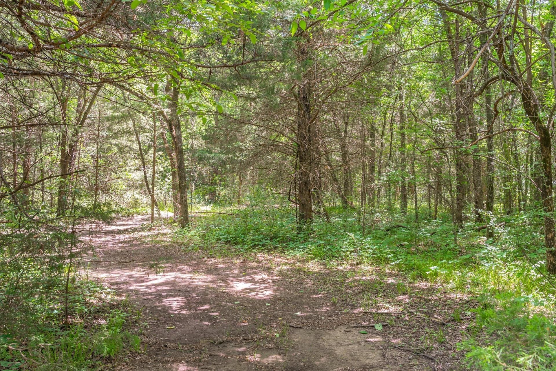 20.06 acres in Van Zandt County - photo 39
