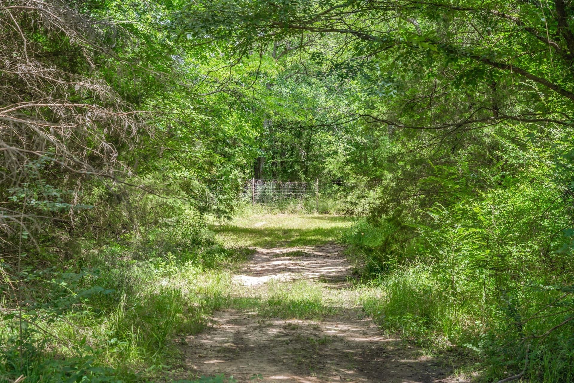 20.06 acres in Van Zandt County - photo 38