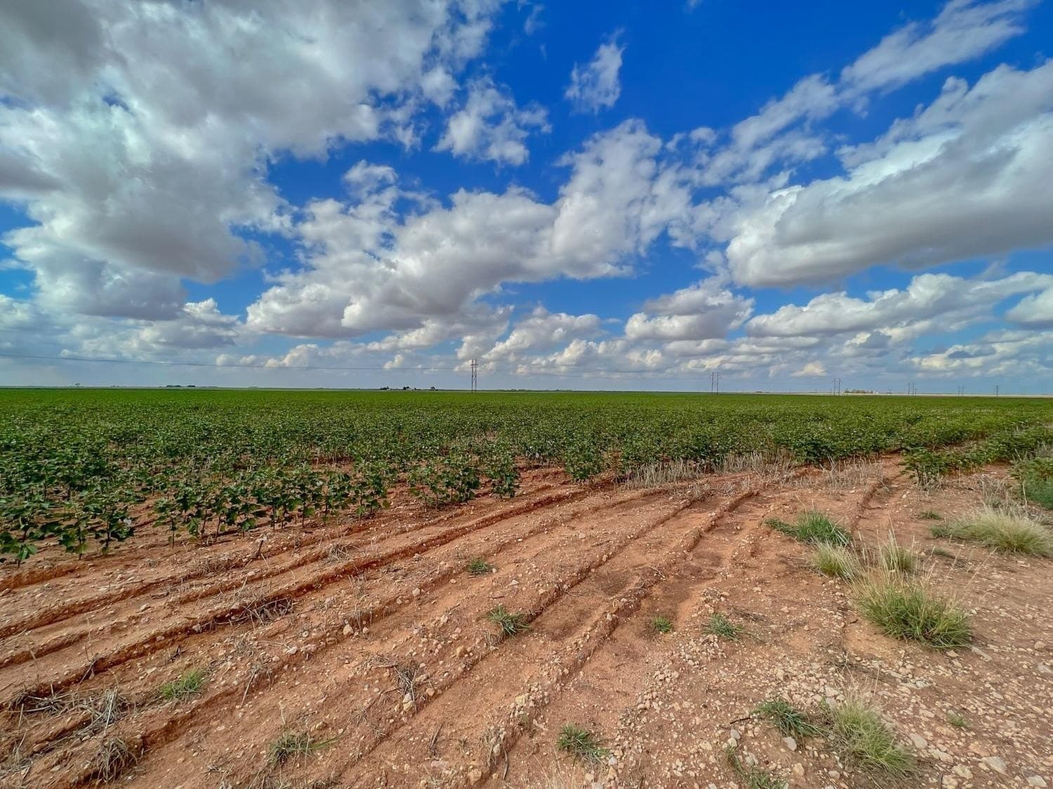 103.72 acres in Hockley County - photo 7
