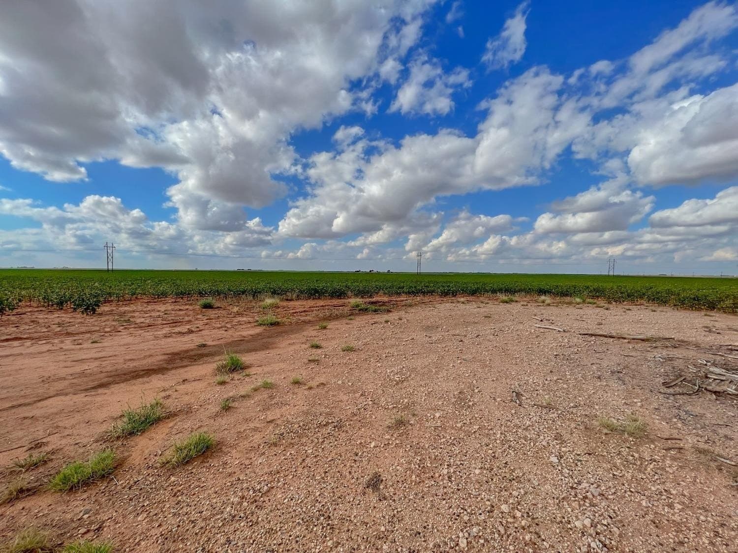 103.72 acres in Hockley County featured view