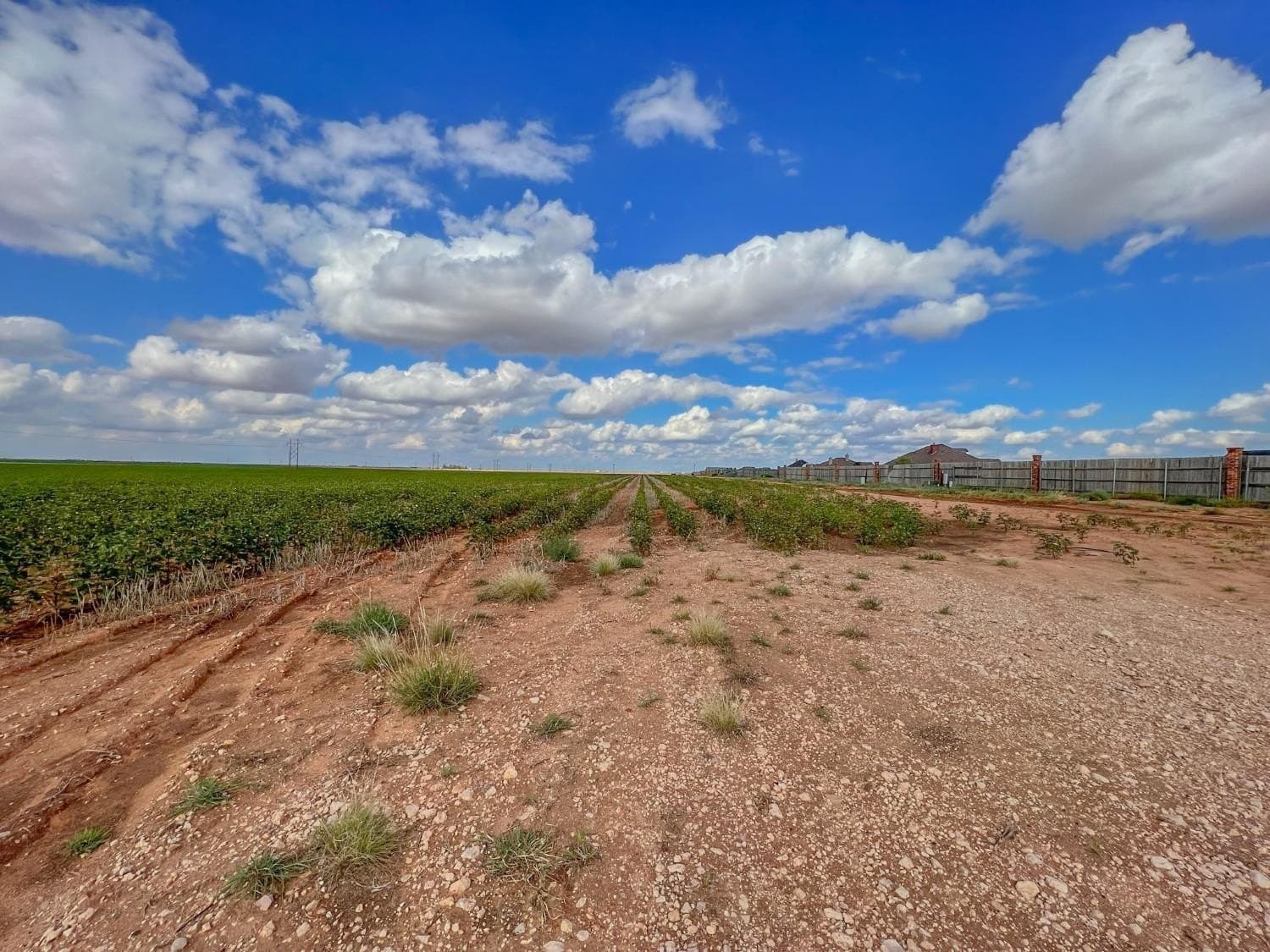 103.72 acres in Hockley County - photo 6