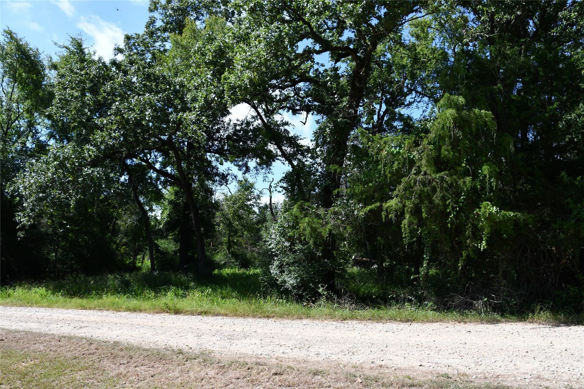 0.6 acres in Limestone County - photo 6