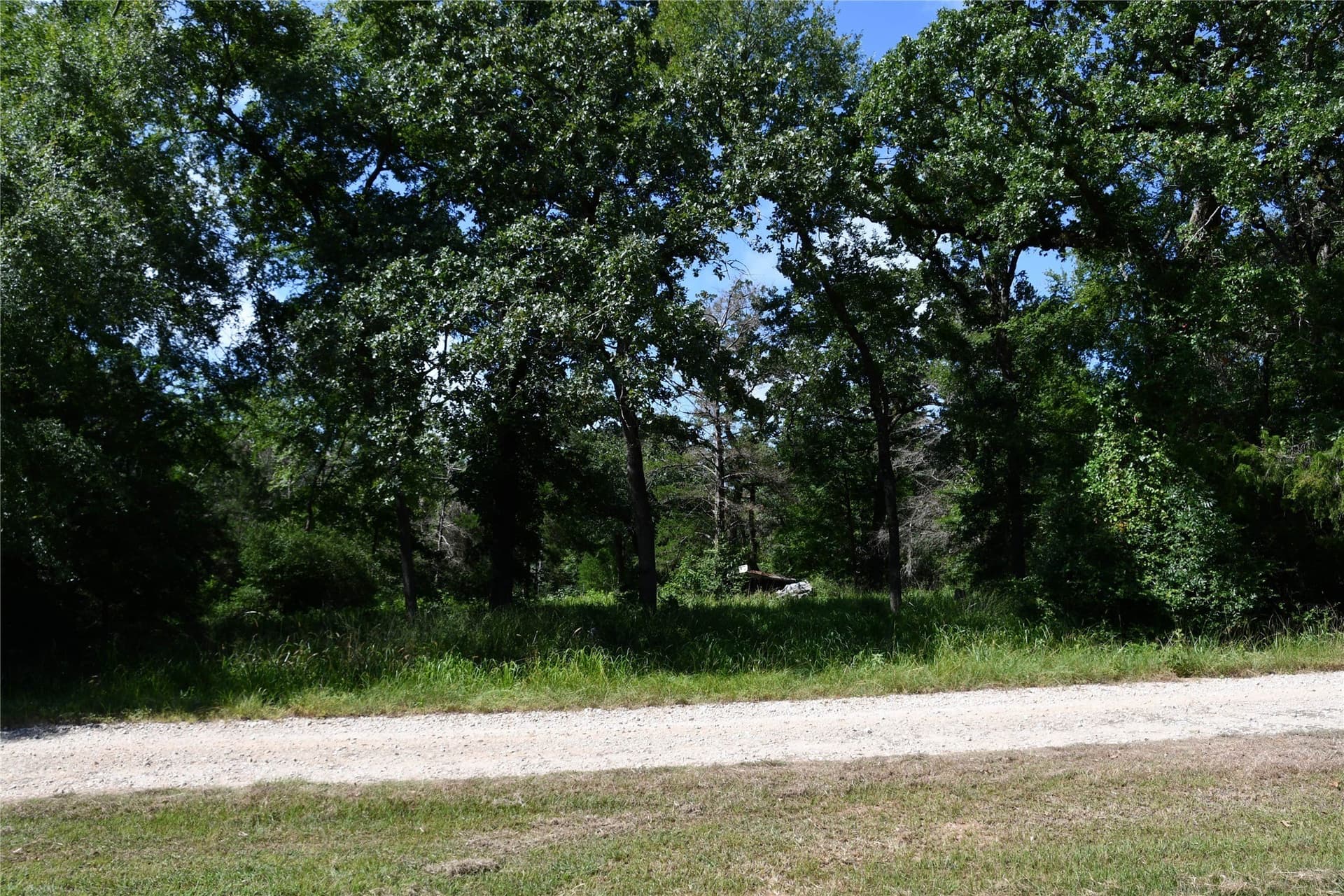 0.6 acres in Limestone County - photo 5