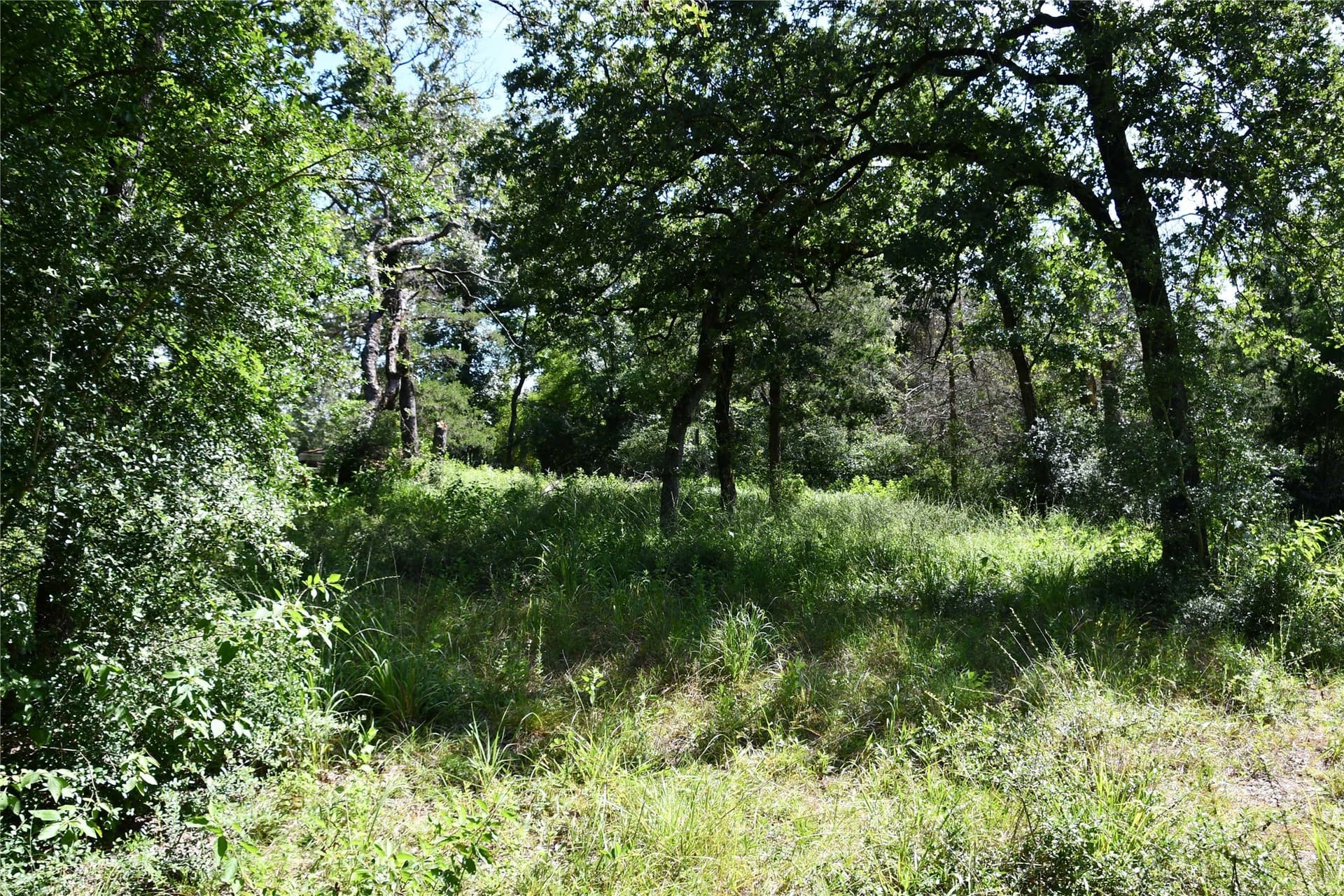 0.6 acres in Limestone County - photo 7