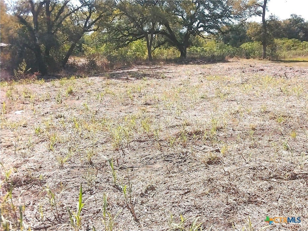 0.27 acres in Gonzales County gallery image 3
