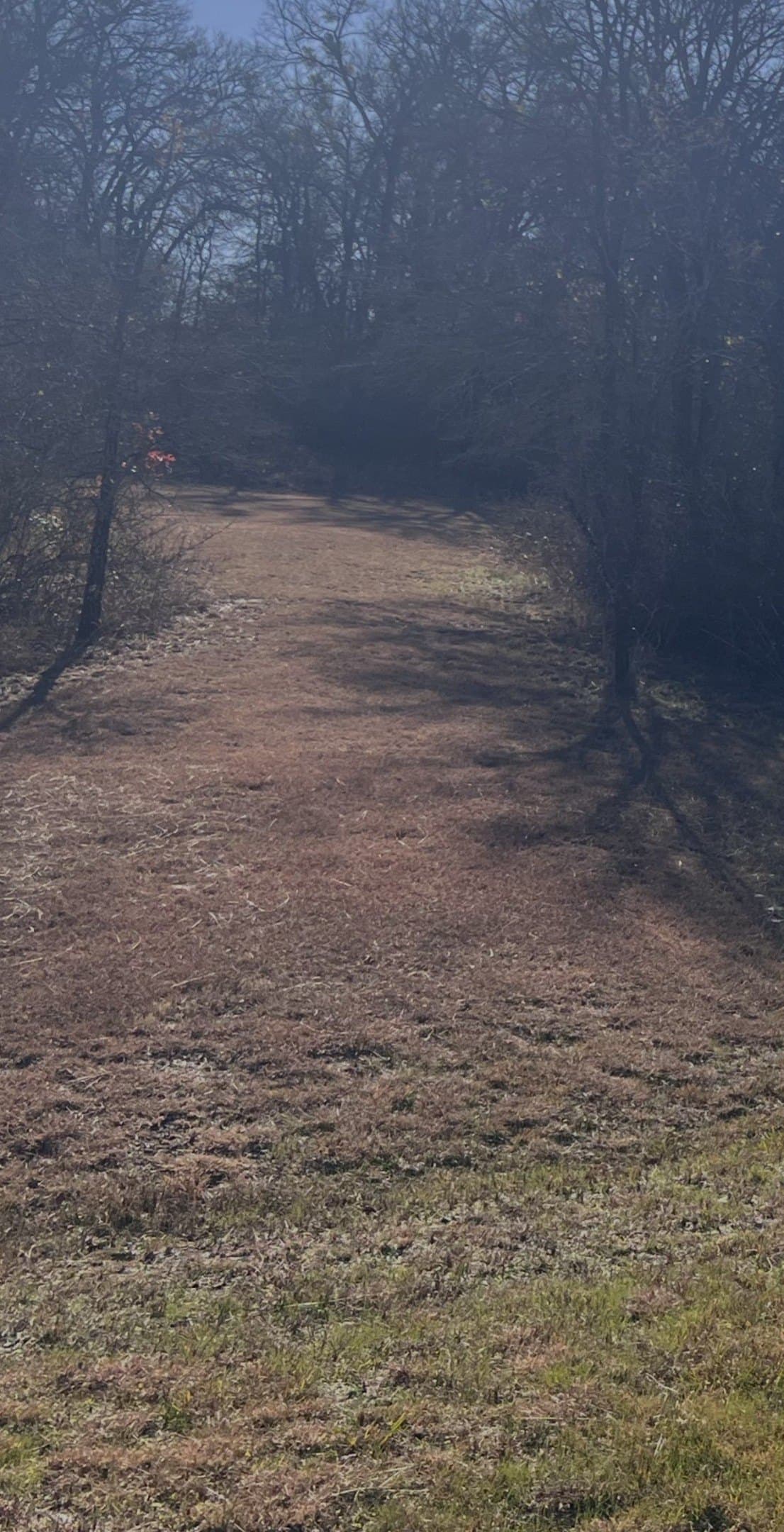 0.51 acres in Wise County gallery image 4