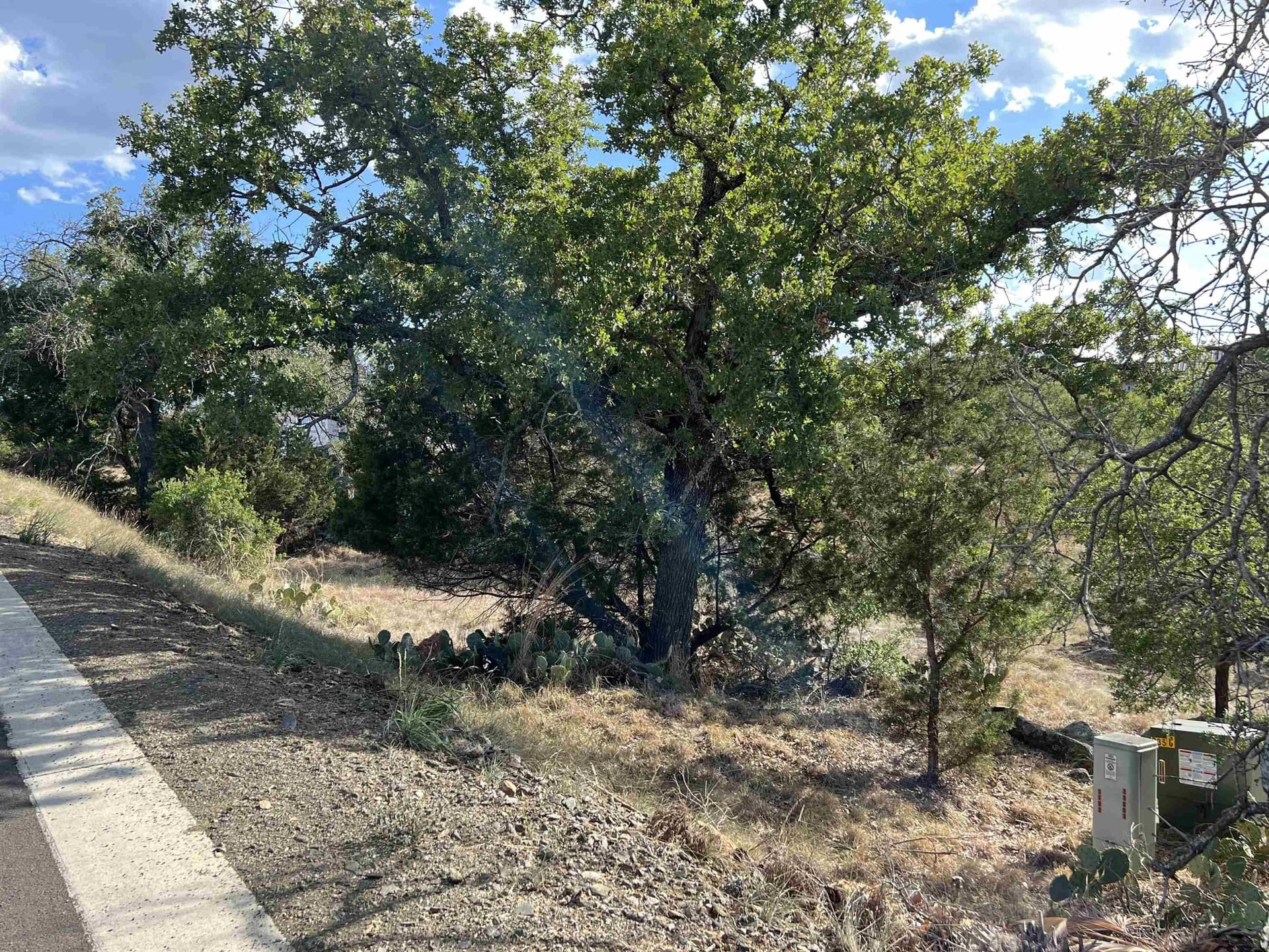 0.24 acres in Llano County gallery image 4