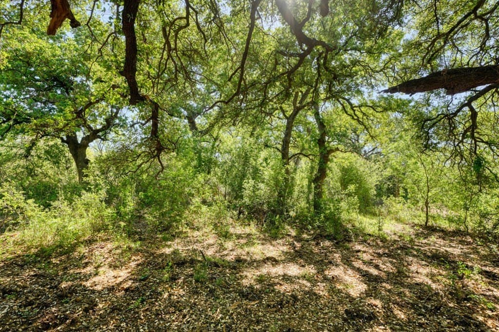 65.42 acres in Llano County - photo 25