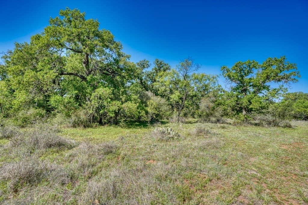 65.42 acres in Llano County - photo 21