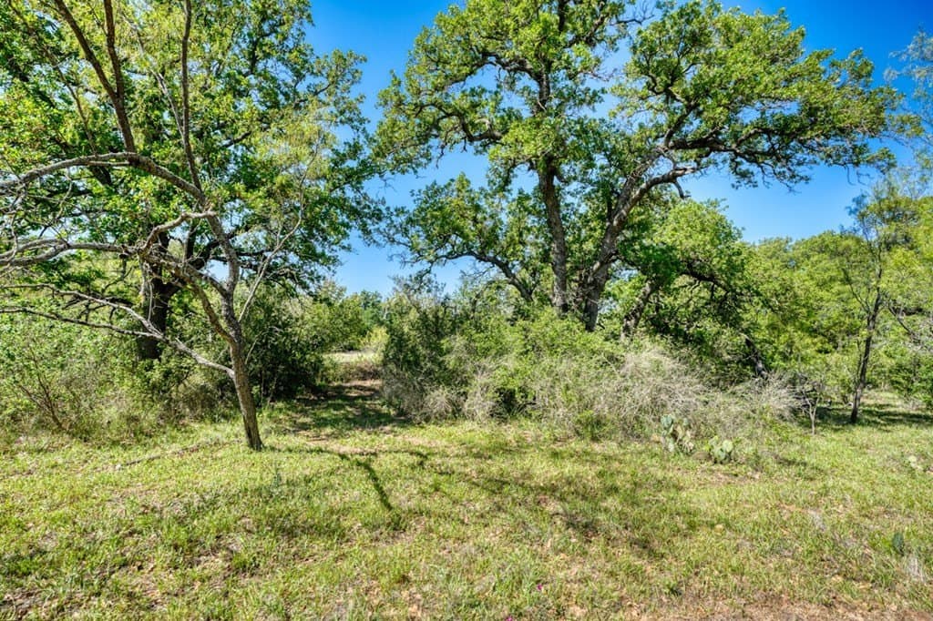 65.42 acres in Llano County - photo 26