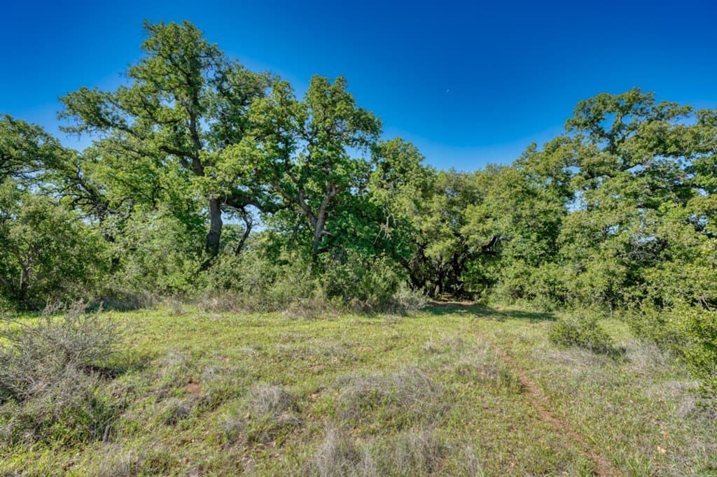 65.42 acres in Llano County - photo 22