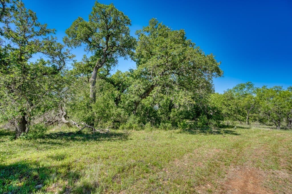 65.42 acres in Llano County - photo 29