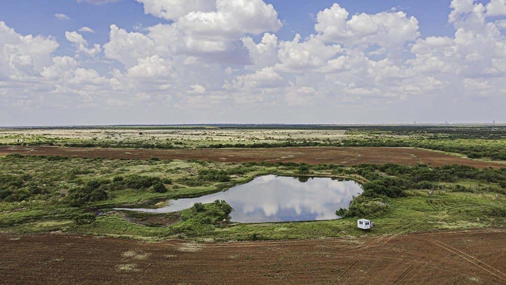 376.75 acres in Wichita County - photo 14
