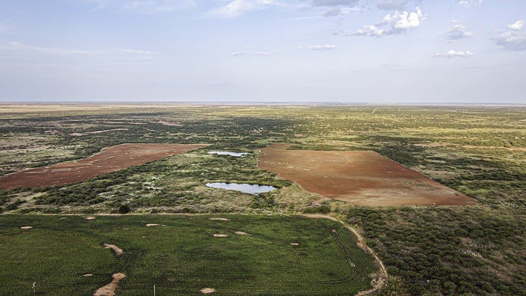 376.75 acres in Wichita County - photo 23