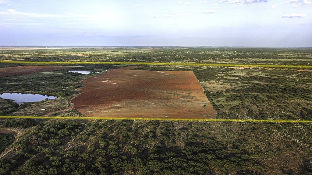 376.75 acres in Wichita County - photo 4