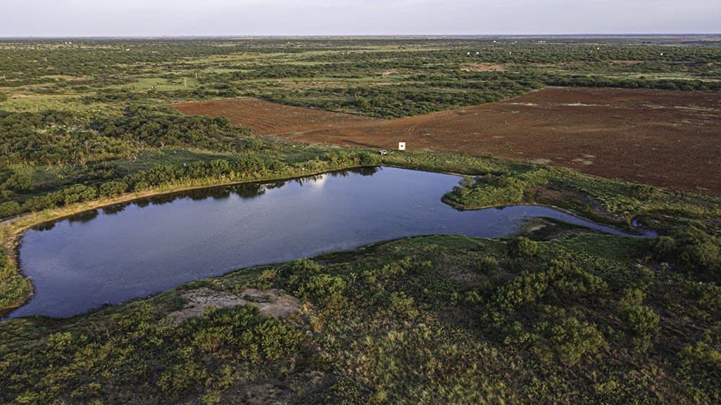 376.75 acres in Wichita County - photo 8