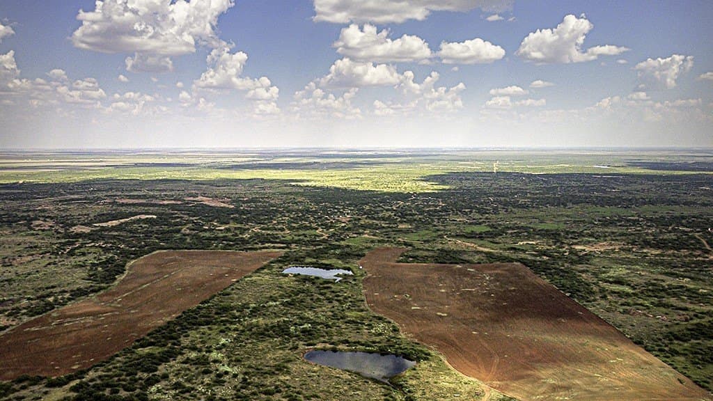 376.75 acres in Wichita County - photo 16
