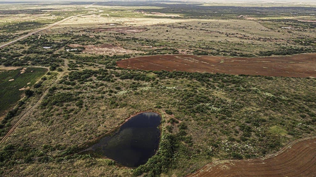 376.75 acres in Wichita County - photo 6