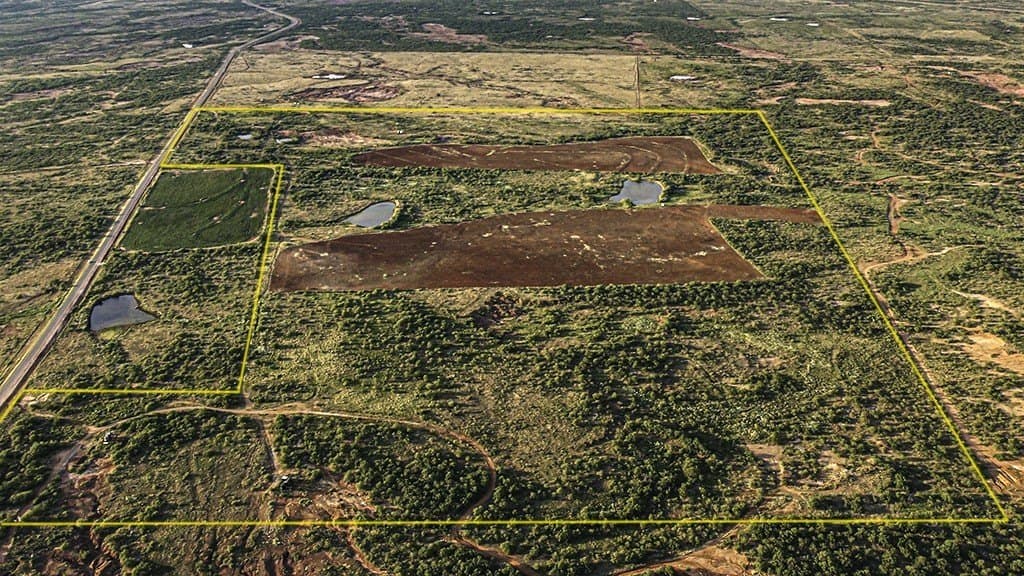376.75 acres in Wichita County - photo 11