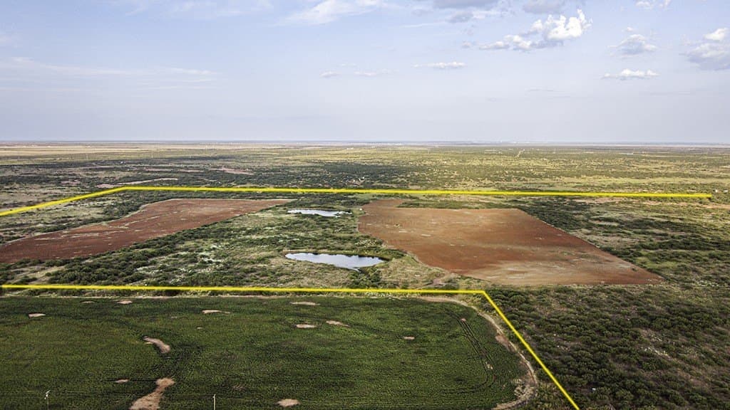 376.75 acres in Wichita County - photo 22